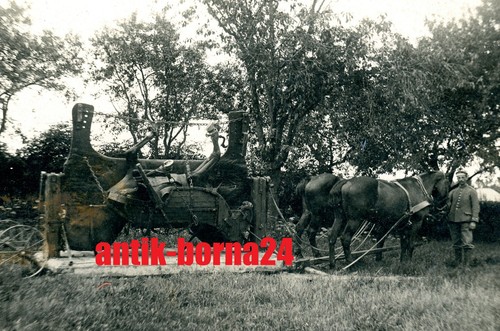 Foto soldat feldgrau pferde - foto,
